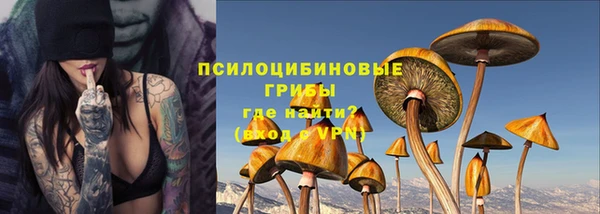 шишки Елизово