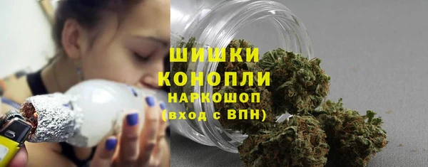 бошки Ельня