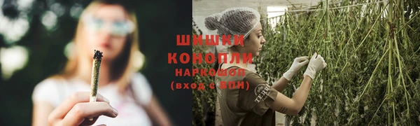 Альфа ПВП Елабуга