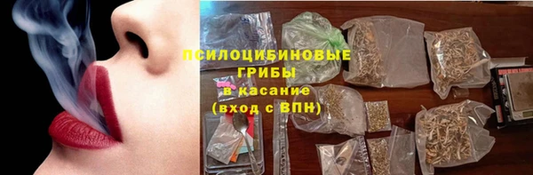 бошки Ельня