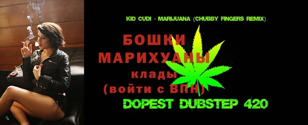 шишки Елизово