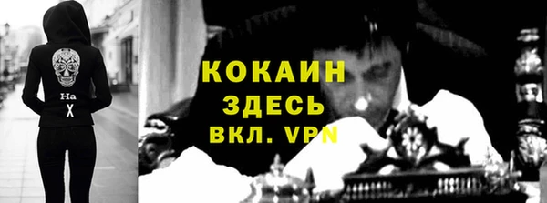 шишки Елизово