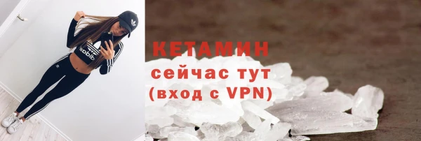 шишки Елизово