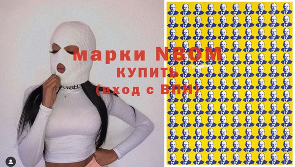 бошки Ельня