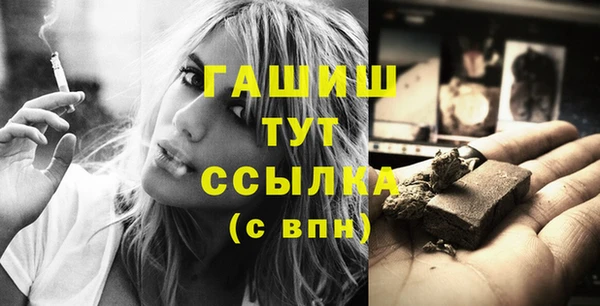шишки Елизово
