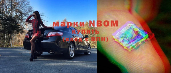 шишки Елизово