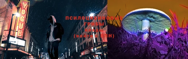 бошки Ельня