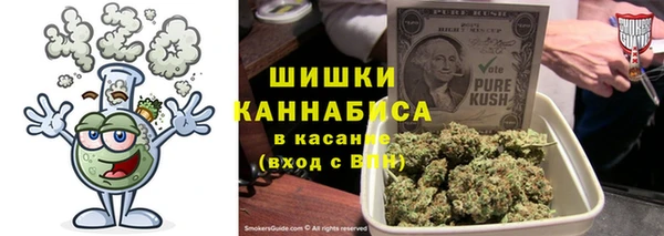 шишки Елизово
