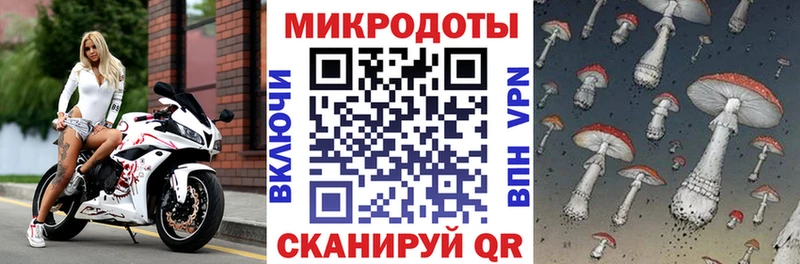 Псилоцибиновые грибы Psilocybe  Купить где  Ессентуки 